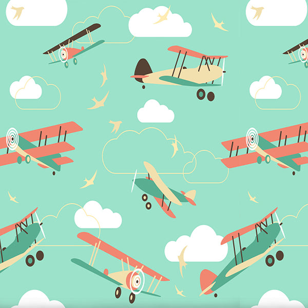 Fox Cloud Airplane Children Birthday Photos Vinyl Backdrop - Foxbackdrop
