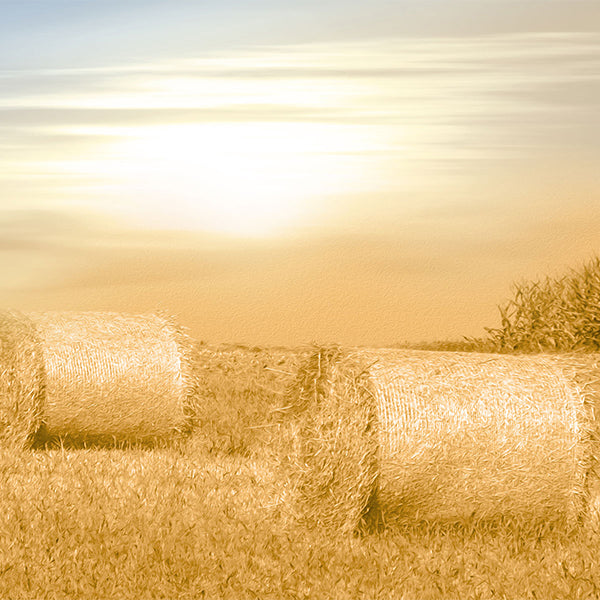 Fox Autumn Sunset Straw Vinyl Photos Backdrop - Foxbackdrop