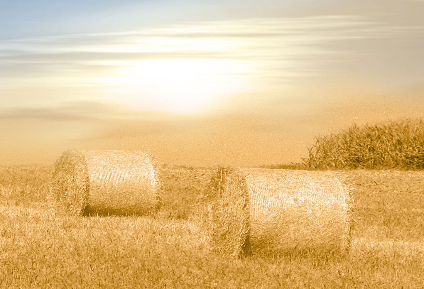 Fox Autumn Sunset Straw Vinyl Photos Backdrop - Foxbackdrop