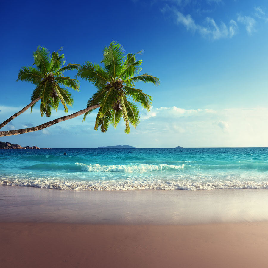Fox Rolled Vinyl Summer Holiday Beach Sea Backdrop - Foxbackdrop