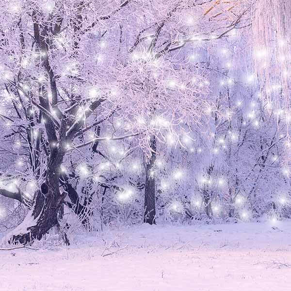 Fox Rolled Lavender Lights Trees Vinyl Photography Backdrop - Foxbackdrop