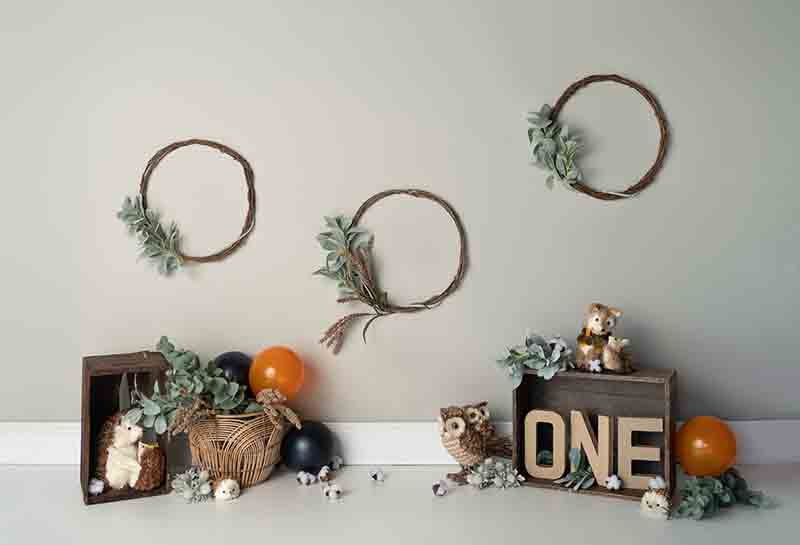 Fox Rolled Cakesmash Session Vinyl Photos Backdrops for Children - Foxbackdrop