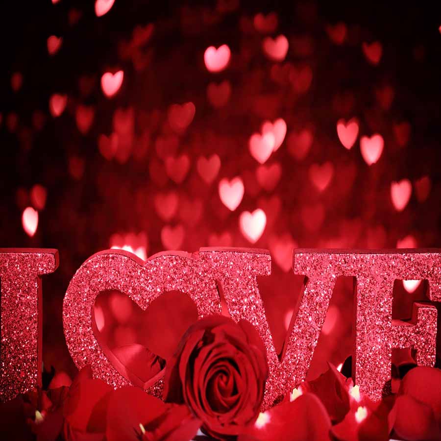 Fox Rolled Vinyl Red Love Rose Valentine's Photo Backdrops - Foxbackdrop
