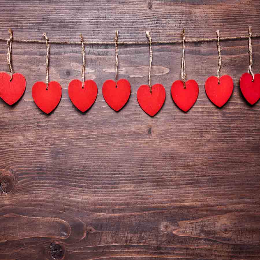 Fox Rolled Vinyl Red Heart Brown Wood Valentine Backdrop - Foxbackdrop