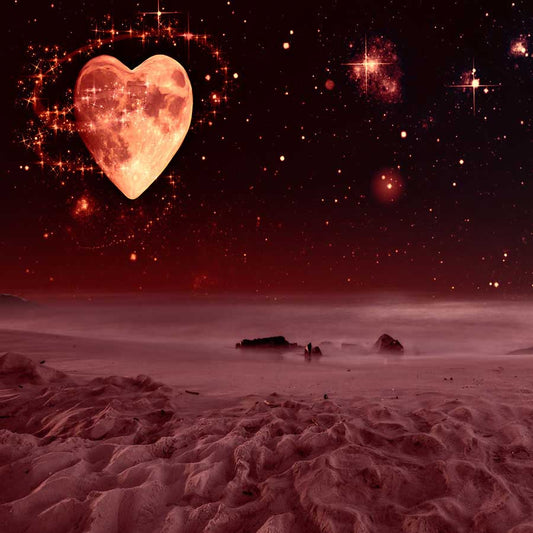 Fox Rolled Vinyl Night Sand Beach Valentine Backdrops - Foxbackdrop