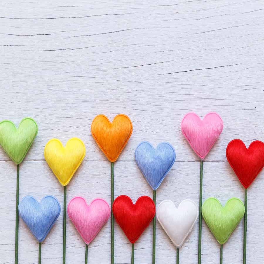 Fox Rolled White Wood Heart Vinyl Valentine Backdrop - Foxbackdrop