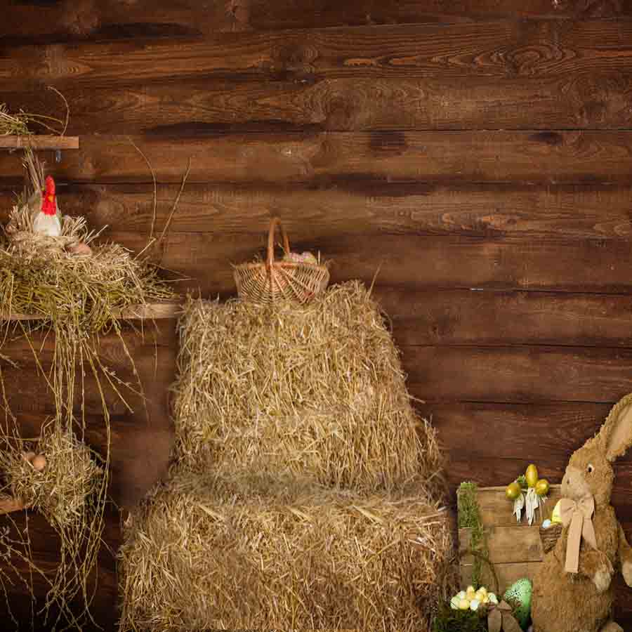 Fox Rolled Wood Wall Easter Rabbit Vinyl Photo Backdrop - Foxbackdrop