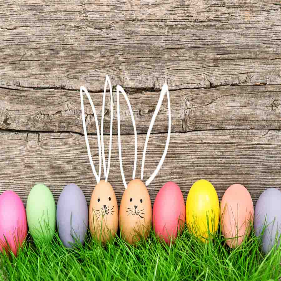 Fox Rolled Wood Board Eggs Easter Vinyl Photo Backdrops - Foxbackdrop