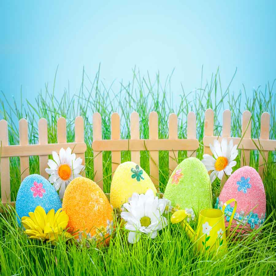 Fox Rolled Eggs Sky Fence Easter Vinyl Backdrops - Foxbackdrop