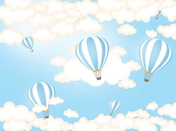 Fox Summer Sky Blue Hot Air Balloon Boy Vinyl Backdrop
