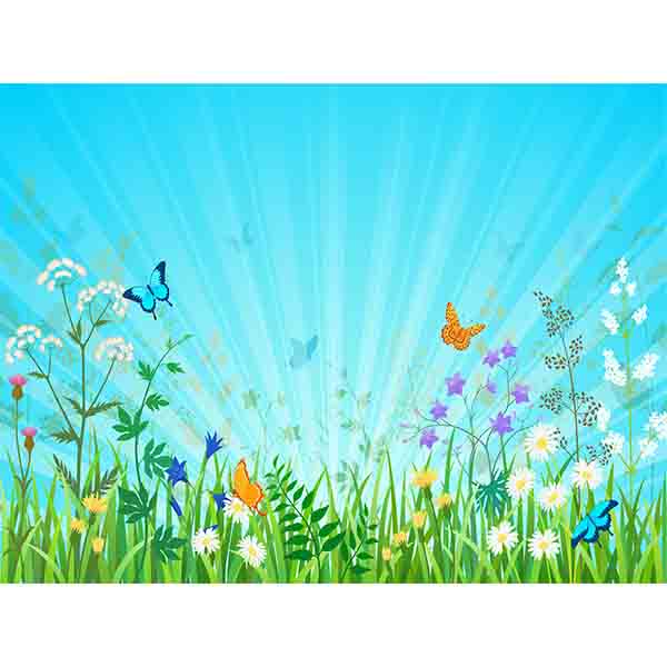 Fox Rolled Spring Grass Butterfly Vinyl Photo Backdrop - Foxbackdrop