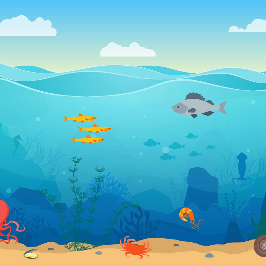 Fox Rolled Under the Sea Fish Children Vinyl Backdrop - Foxbackdrop