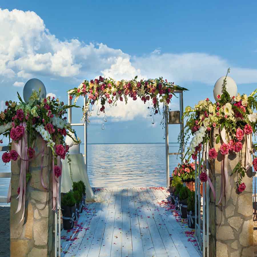 Fox Rolled Vinyl Beach Summer Holiday Photo Backdrop - Foxbackdrop