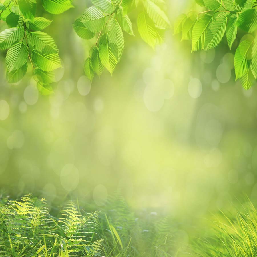 Fox Rolled Vinyl Green Leaves Spring Photography Backdrop - Foxbackdrop