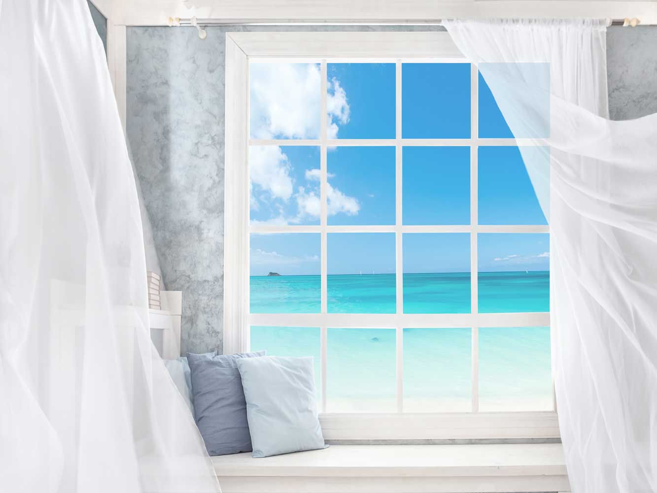 Fox Rolled Vinyl Summer Window Beach Holiday Backdrop - Foxbackdrop