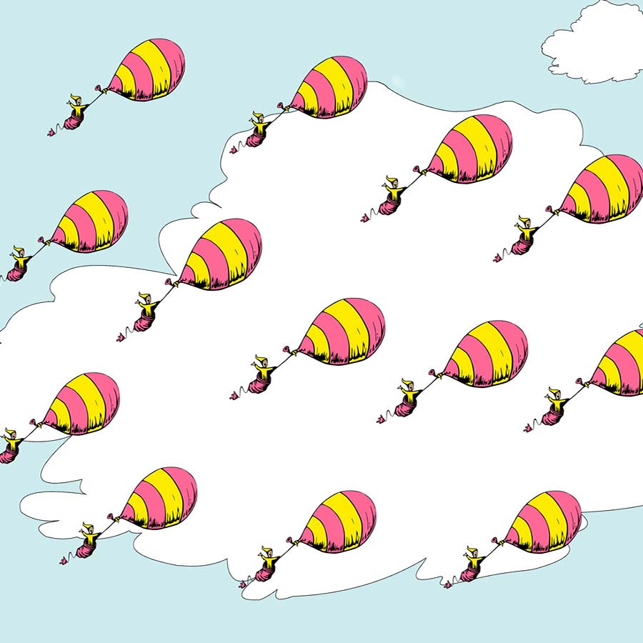 Fox Rolled Vinyl Hot Air Balloon Children Photoshoot Backdrop - Foxbackdrop