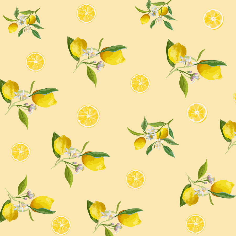 Fox Rolled Vinyl Summer Lemon Children Photography Backdrop - Foxbackdrop