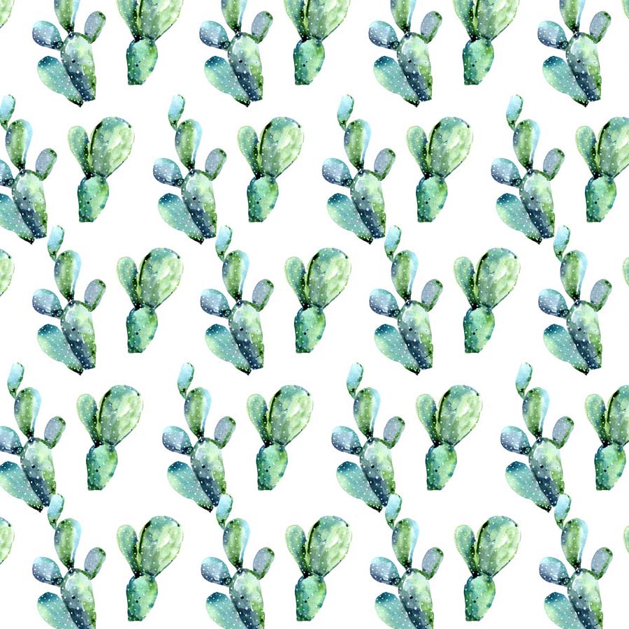 Fox Rolled Green Cactus White Children Vinyl Backdrop - Foxbackdrop