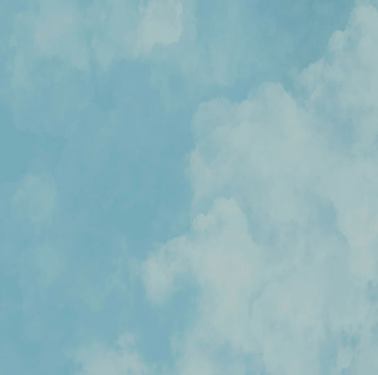 Fox Abstract Blue with Clouds Vinyl Backdrop Designed By Ani Ghelichian - Foxbackdrop