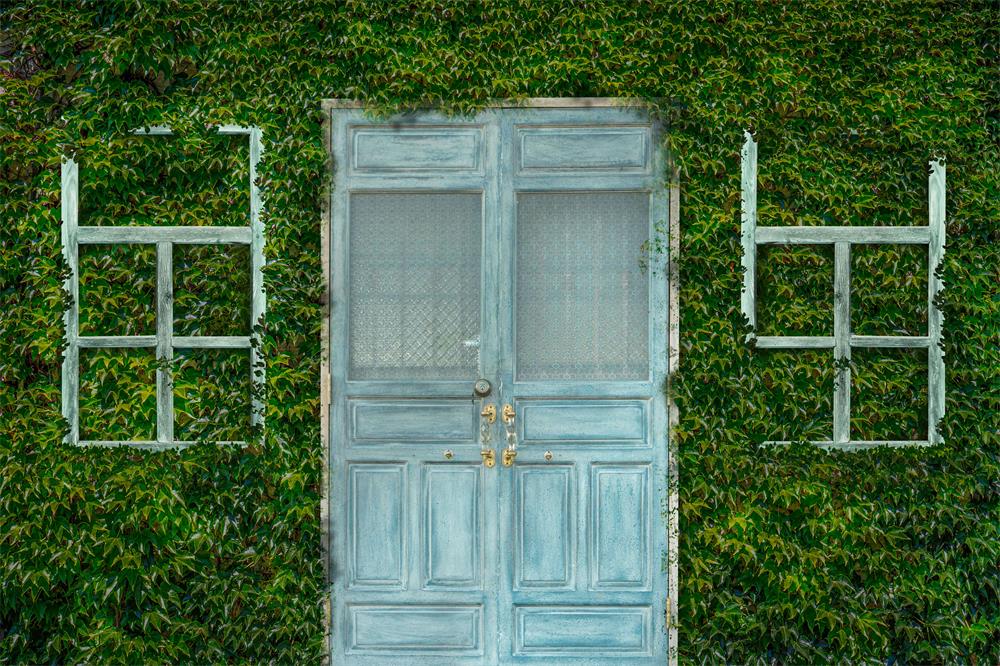 Fox Vinyl Summer Door Window Photography Backdrop - Foxbackdrop