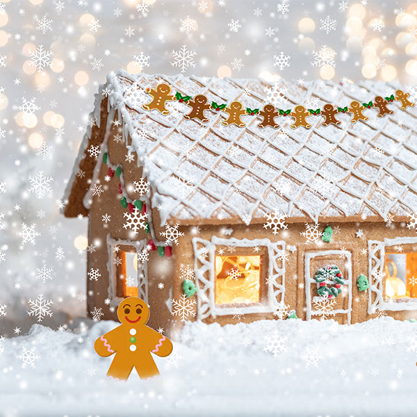 Fox Christmas Biscuits House Children Vinyl Backdrop - Foxbackdrop