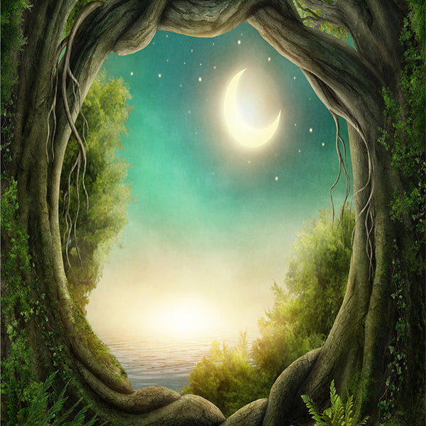 Fox Jungle Forest River Moon Vinyl Photos Backdrop - Foxbackdrop