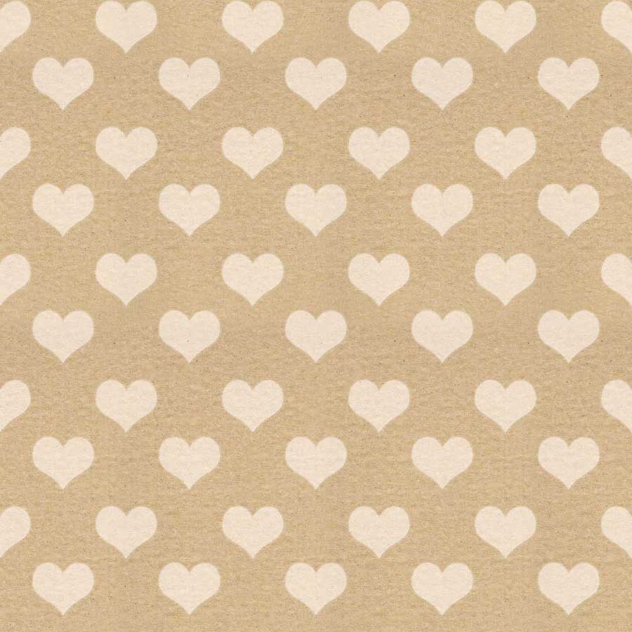 Fox Rolled Vinyl Khaki Heart Valentine Day Photo Backdrop - Foxbackdrop