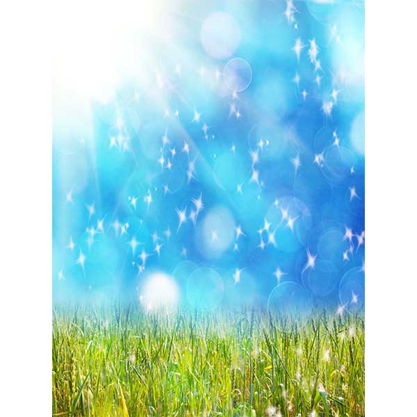 Fox Rolled Spring Sunshine Grassland Vinyl Photo Backdrop - Foxbackdrop