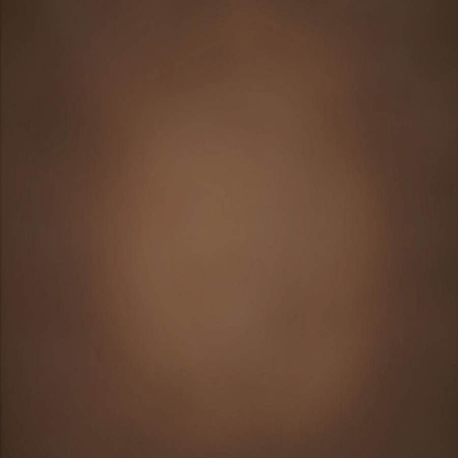 Fox Rolled Vinyl Retro Brown Abstract Backdrop for Photography - Foxbackdrop