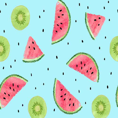 Fox Rolled Vinyl Summer Watermelon Children Backdrop - Foxbackdrop