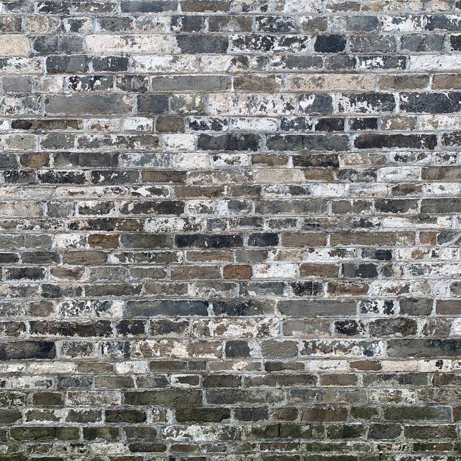 Fox Rolled Gray Brick Wall Vinyl Photo Backdrop - Foxbackdrop