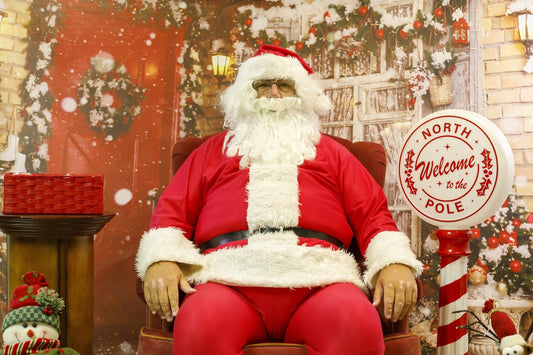 Fox Christmas Snow Front Door Vinyl Photography Backdrop - Foxbackdrop