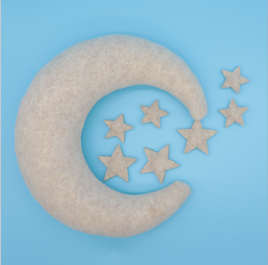Fox 8pcs Newborn Posing Pillows Studio Props Photoshoot - Foxbackdrop