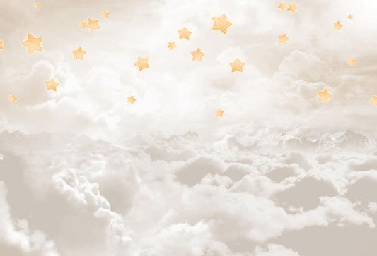 Fox Sky Clouds Stars Children Birthday Vinyl Backdrop - Foxbackdrop