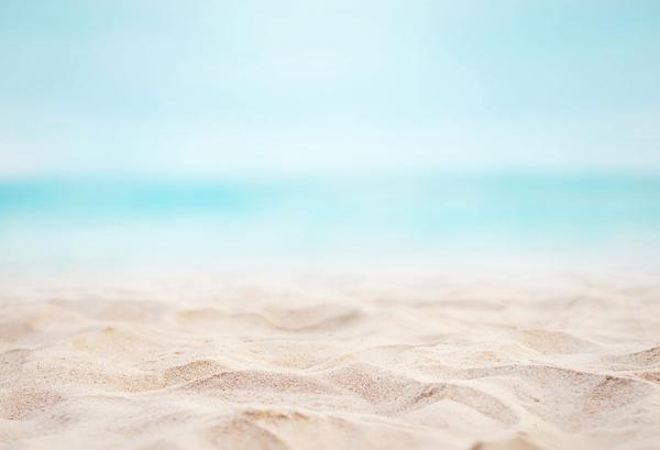 Fox blue Ocean Beach Summer Vinyl Backdrop - Foxbackdrop