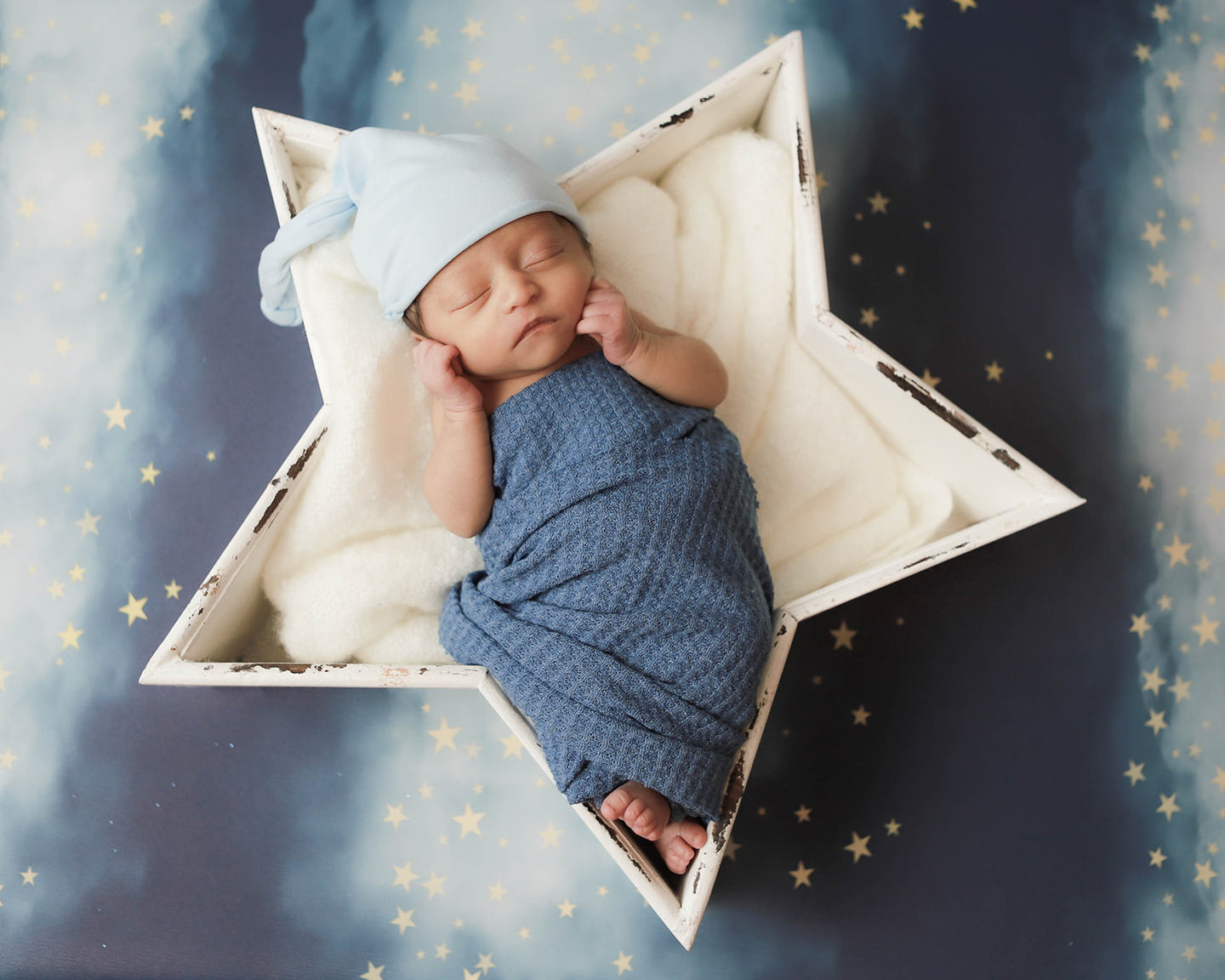 Fox Dark Blue Sky Stars Clouds Vinyl Children Backdrop