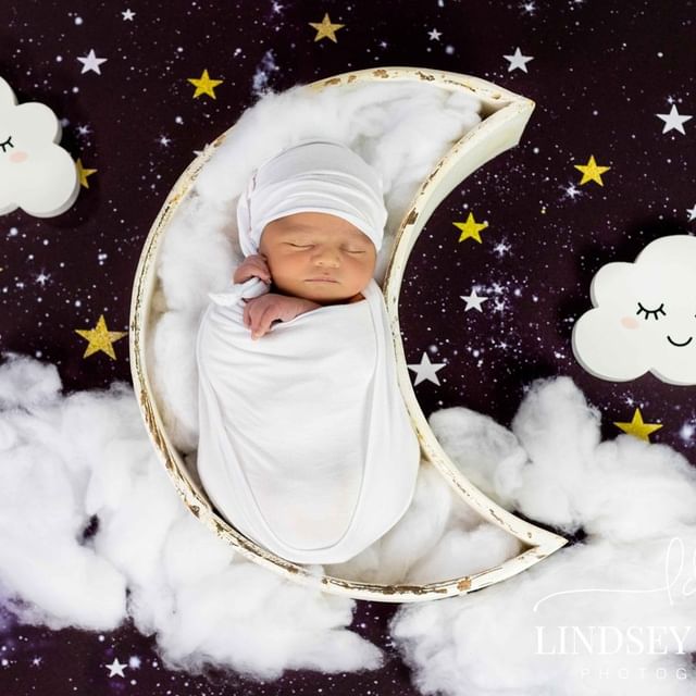 Fox Newborn Baby Night Sky Stars cloud Vinyl Backdrop