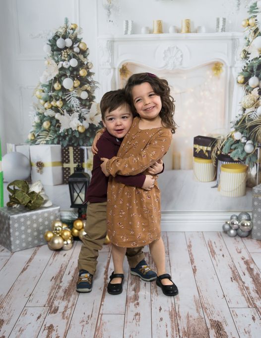 Fox Christmas Trees Fireplace Vinyl Photo Backdrop