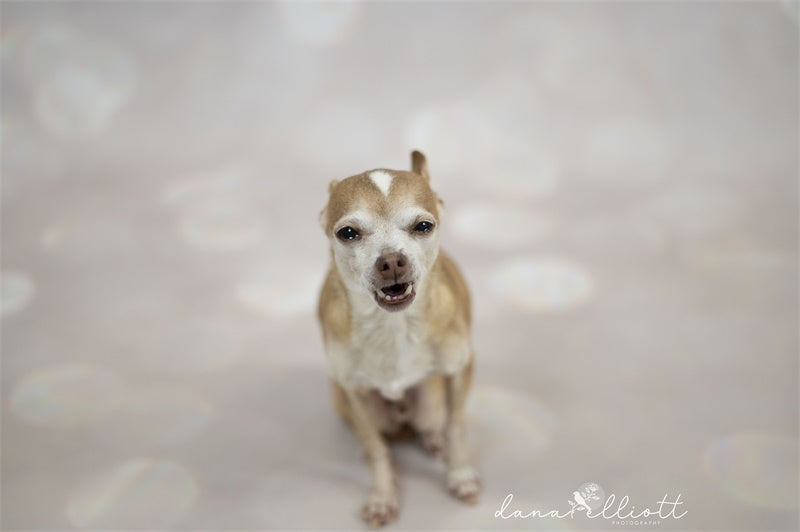 Fox Rolled Gliiter Bokeh Vinyl Backdrop - Foxbackdrop