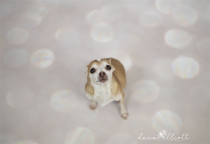 Fox Rolled Gliiter Bokeh Vinyl Backdrop - Foxbackdrop