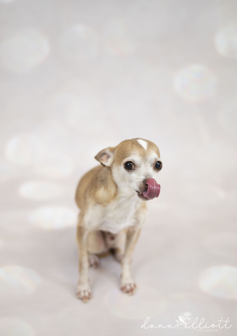 Fox Rolled Gliiter Bokeh Vinyl Backdrop - Foxbackdrop