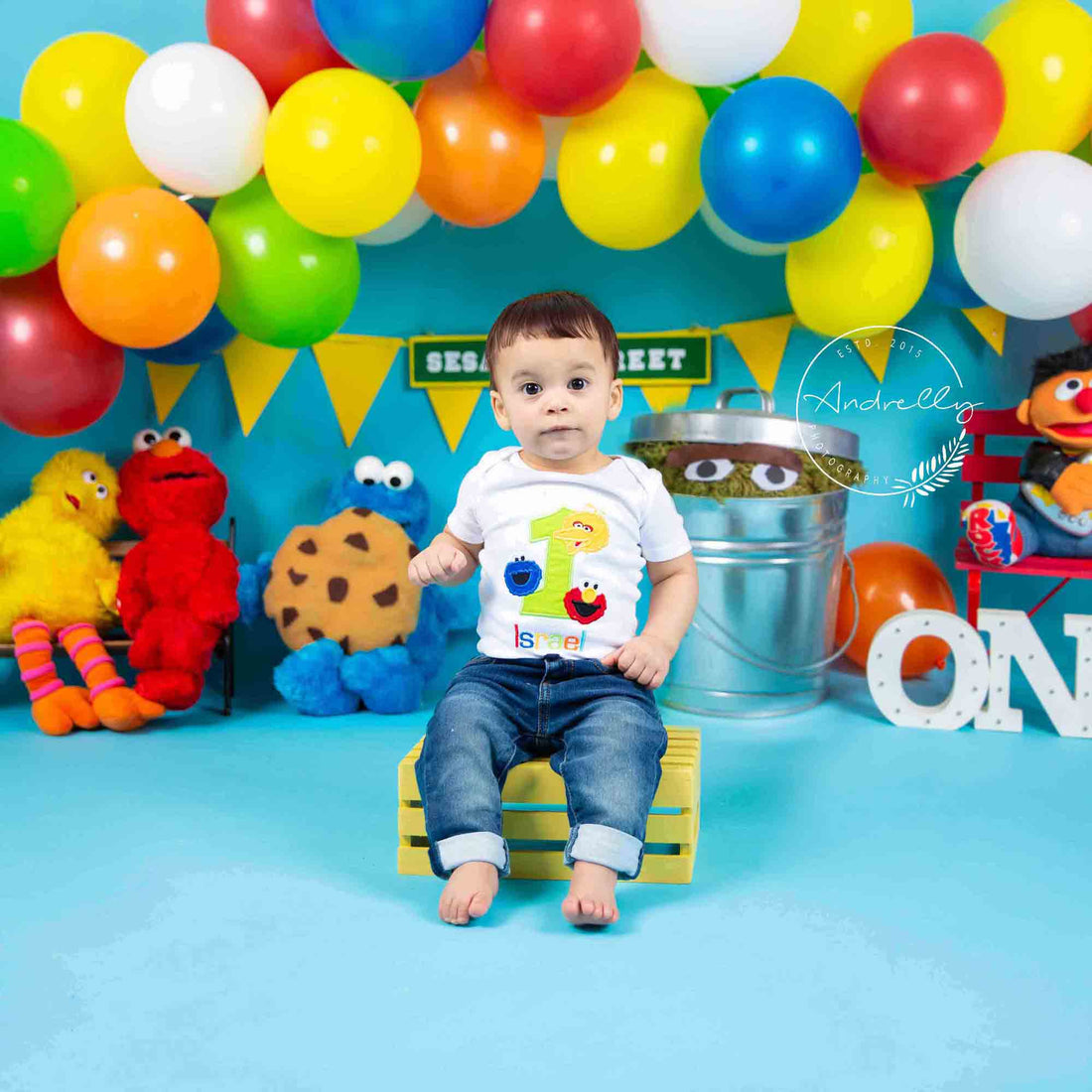 Baby Photography: How to DIY Sesame Street Cake Smash Session