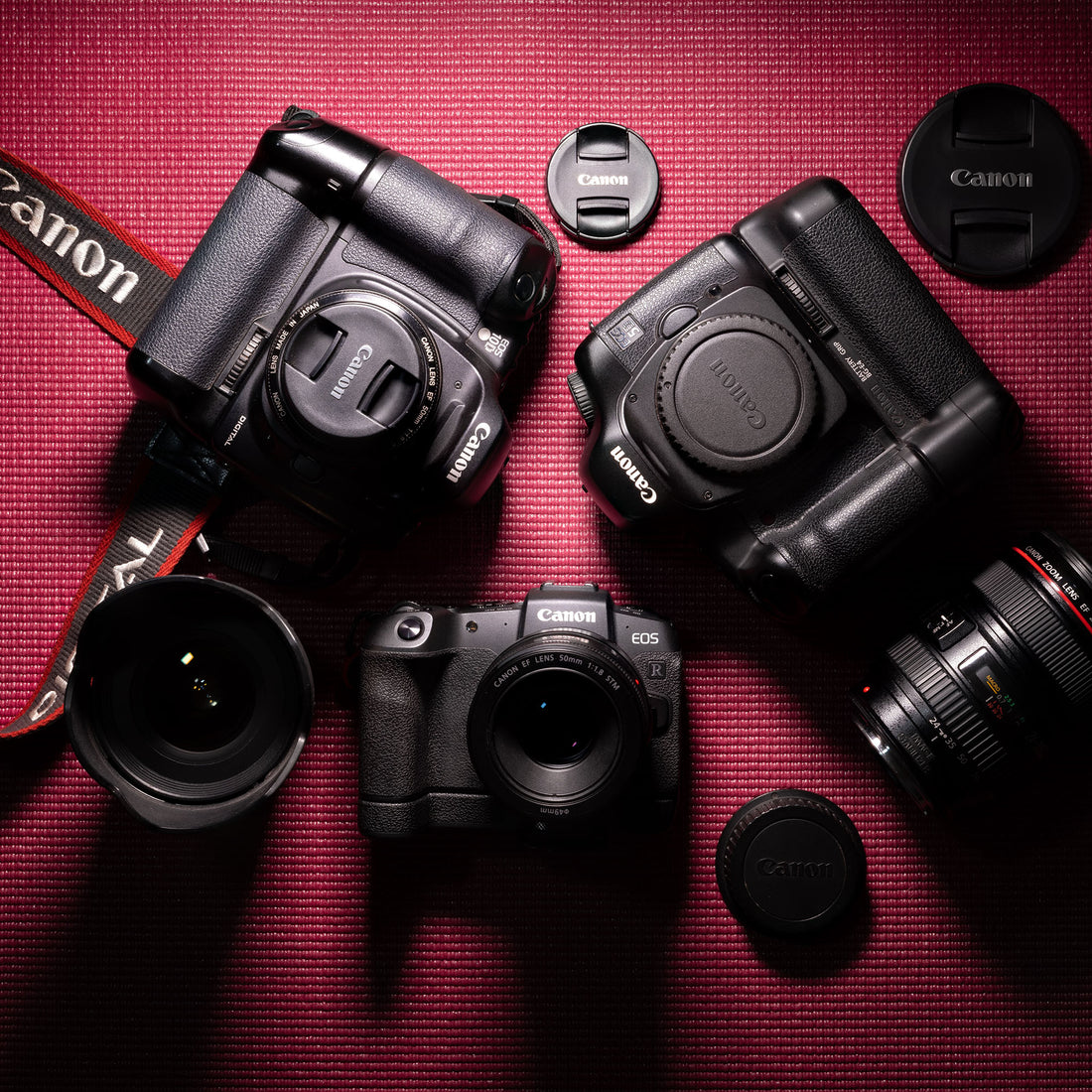 TOP 5 Entry-Level Canon Cameras for New photographers