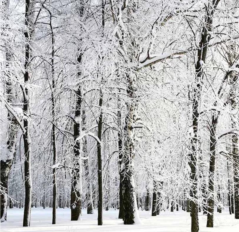 How to Shoot in Winter