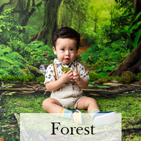 Forest & Jungle