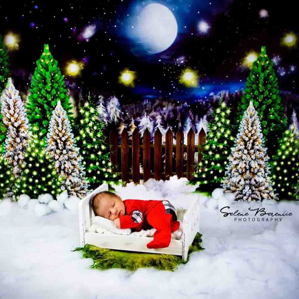 Fox Rolled Night Christmas Children Photos Vinyl Backdrop - Foxbackdrop