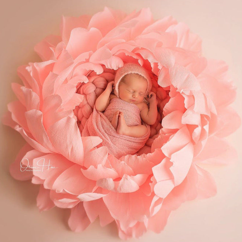 Fox Pink Flowers Baby Bed for Newborn Photo Prop - Foxbackdrop
