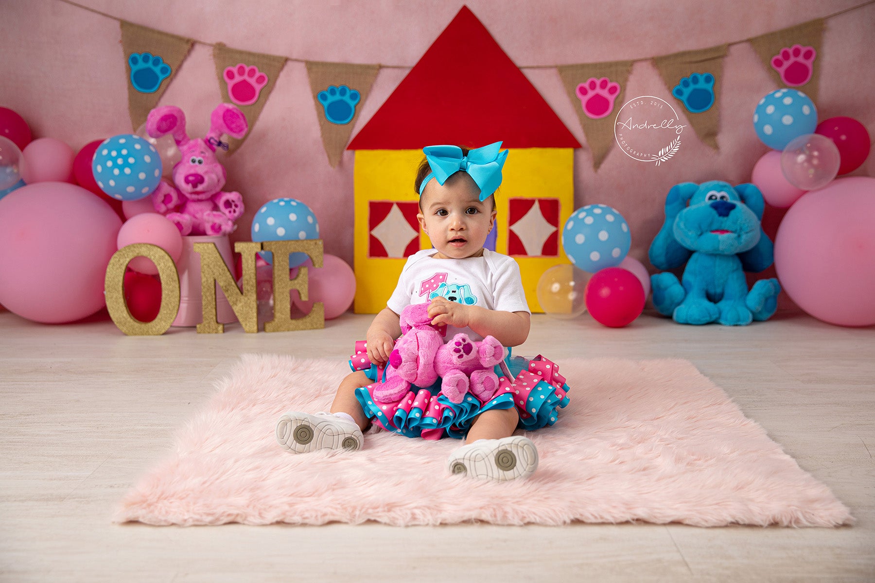 Fox Rolled House Cartoons Birthday Vinyl Backdrop Designed By Blanca Perez - Foxbackdrop
