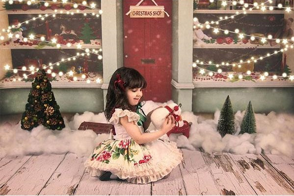 Fox Christmas Shop Vinyl Photos Backdrop