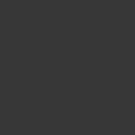 Fox Rolled Solid Dark Gray Vinyl Photography Backdrop - Foxbackdrop